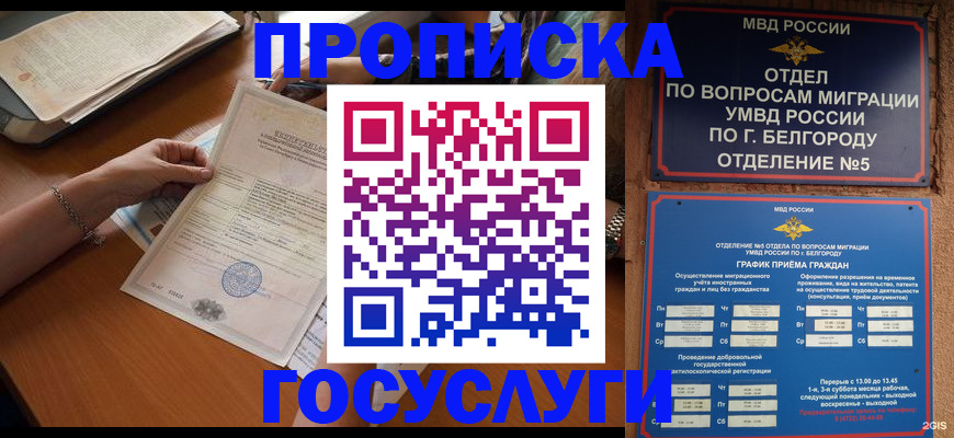 временная регистрация поиск в Энгельсе